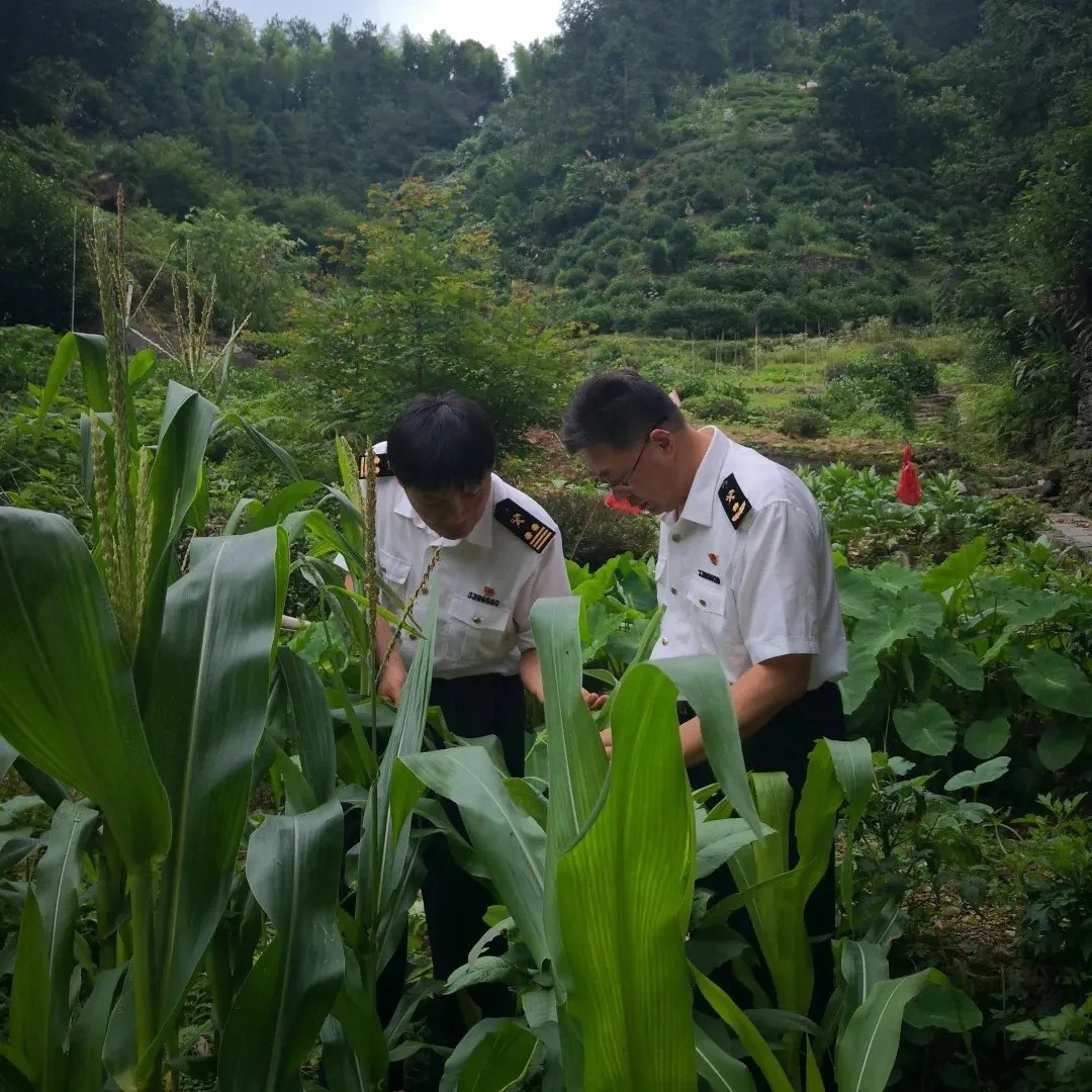 澳门彩资料官方网站www